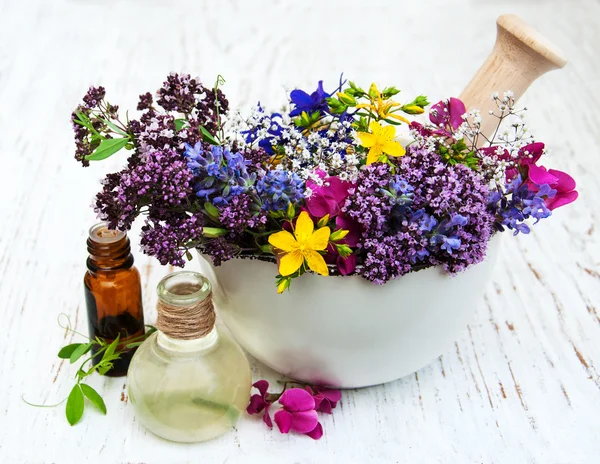 Vad virág- és gyógynövény levél a habarcs — Stock Fotó