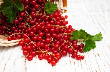 taze kırmızı kuş üzümü