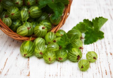 bektaşi yaprakları ile