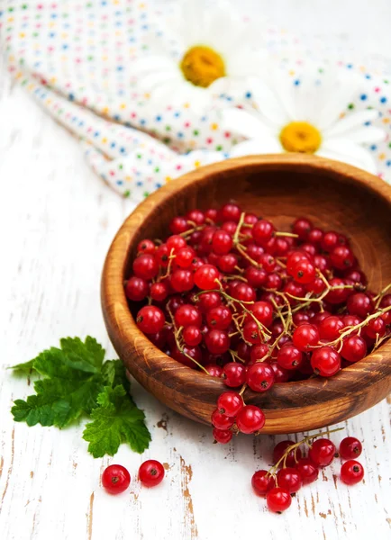 Grosella roja fresca — Foto de Stock