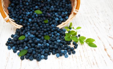 yaban mersini ile sepeti