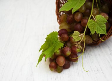 üzüm yaprağı