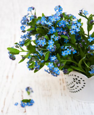 Fakirler çiçek unut beni 