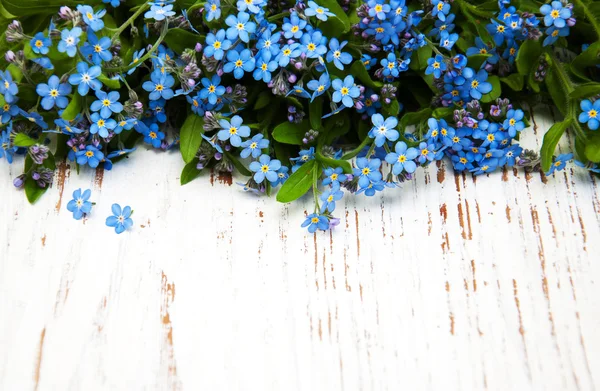 Olvídame no hay flores. — Foto de Stock