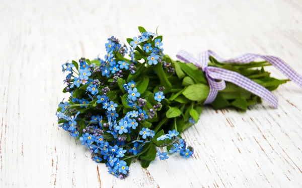 Glöm mig nots blommor — Stockfoto