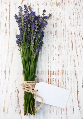 Lavanta çiçekleri etiketi ile