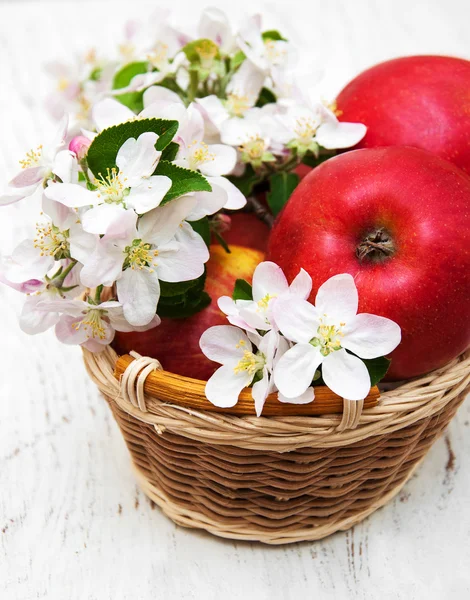 Cesta con manzanas y flores de manzano — Foto de Stock