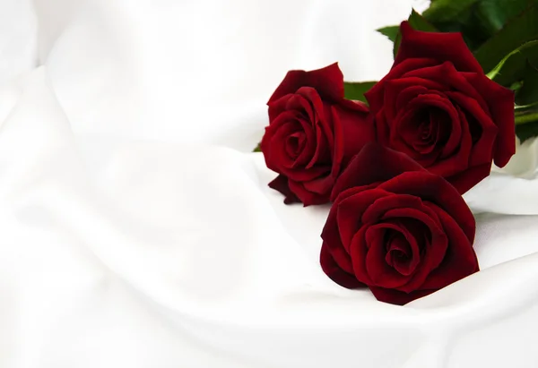 Красные розы на шелке — стоковое фото