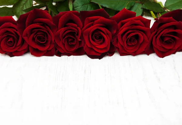 Rosas rojas frescas — Foto de Stock