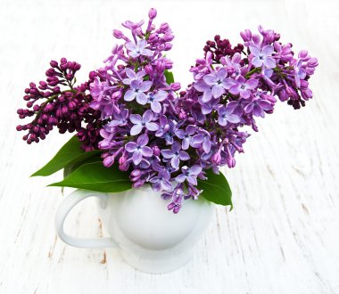 Bahar leylak çiçekleri