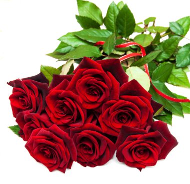 Taze Kırmızı Güller