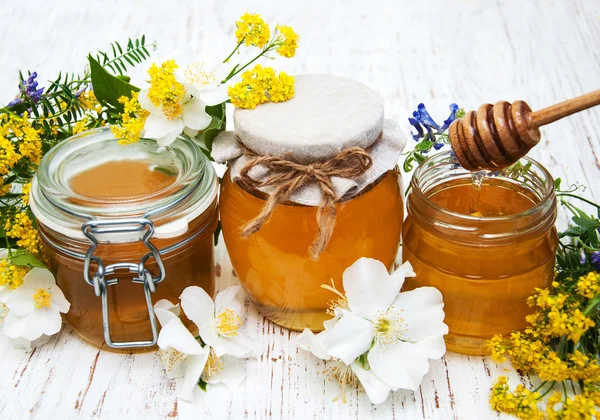 꿀, 야생화 — 스톡 사진