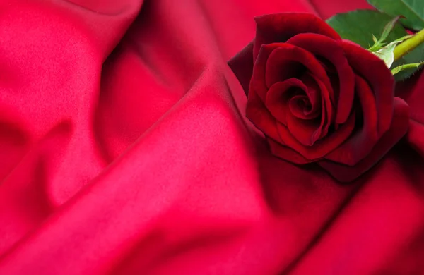 Красная роза на шелке — стоковое фото