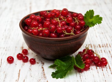 taze kırmızı kuş üzümü