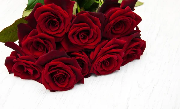 Friss vörös rózsa — Stock Fotó