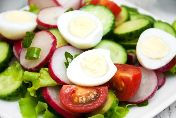 Spring sallad med ägg, gurka och rättika — Stockfoto