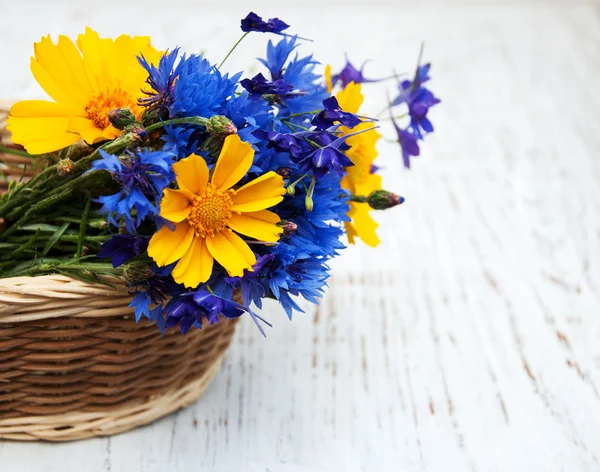 Blaue Kornblumen und Kosmosblumen — Stockfoto