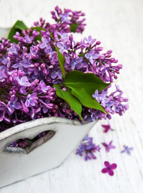 Bahar leylak çiçekleri