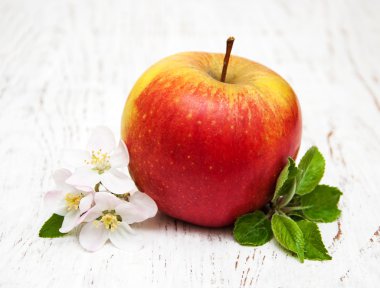 elma ve elma ağacının çiçekleri