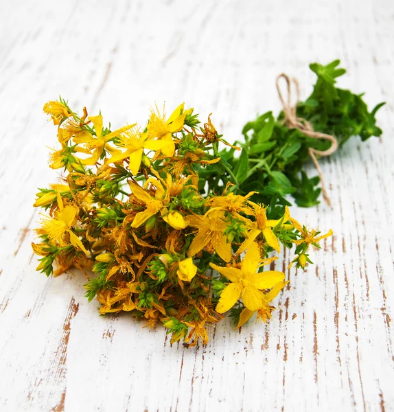 Flores de Tutsan sobre una mesa — Foto de Stock