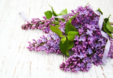 Bir masaya Lila çiçek