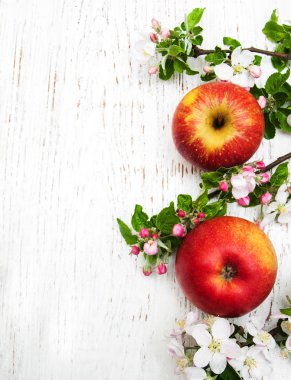 elma ve elma ağacının çiçekleri
