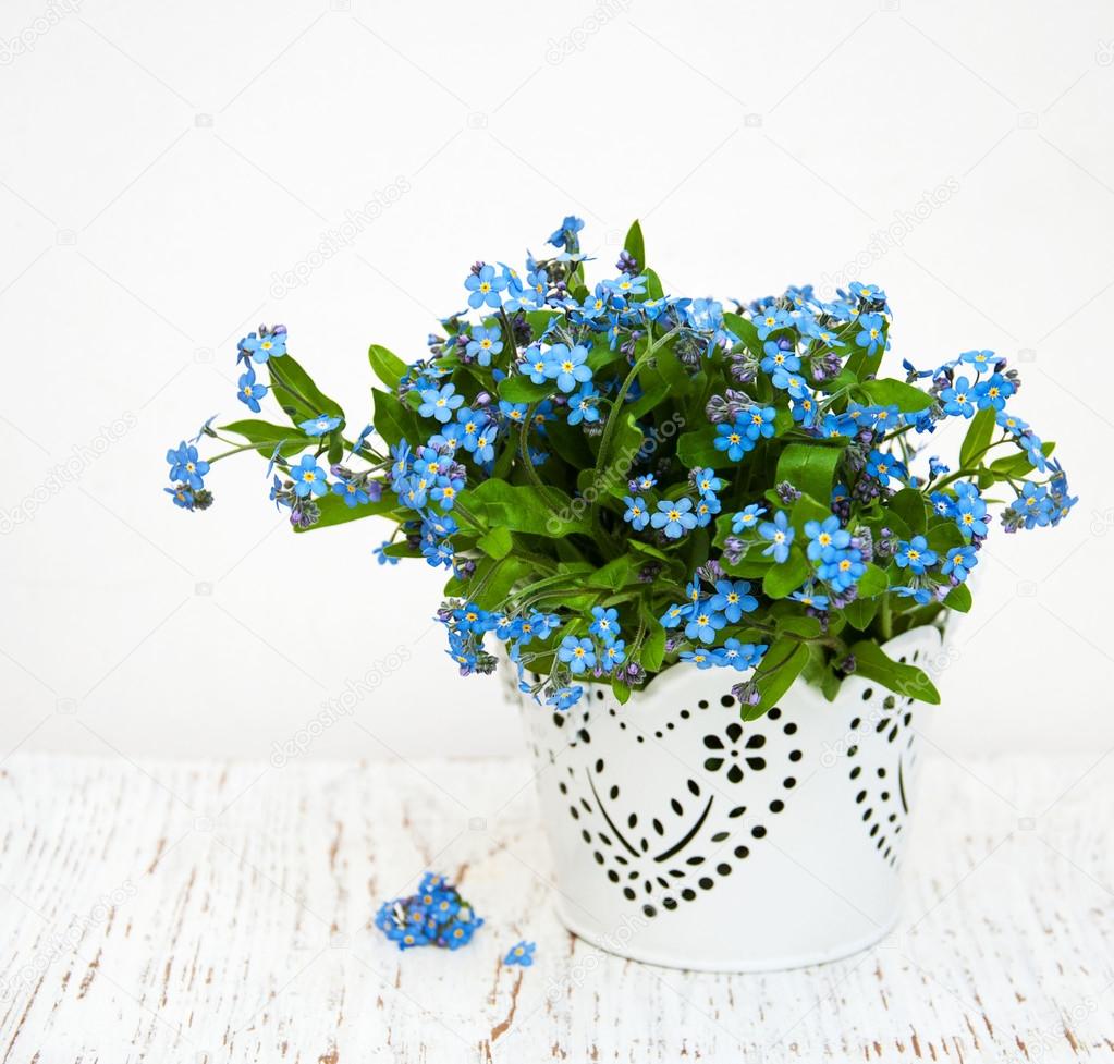Forget me nots flowers