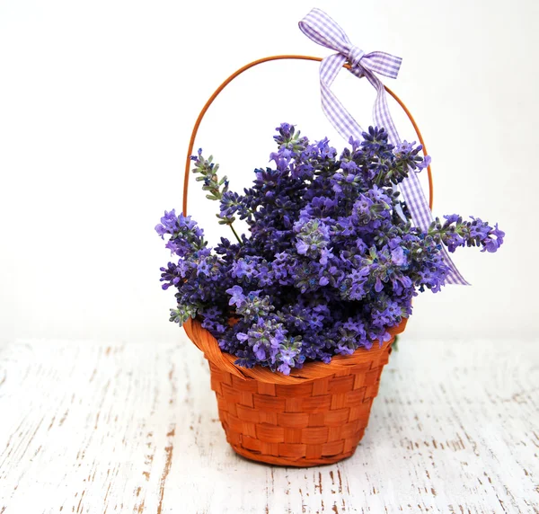 Mazzo di lavanda — Foto Stock