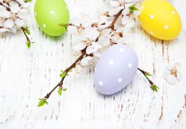 Huevos de Pascua y cerezas florecen — Foto de Stock