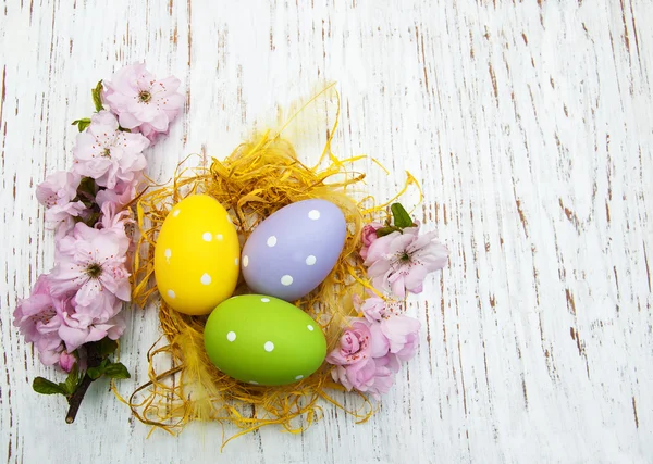 Huevos de Pascua y cerezas florecen — Foto de Stock