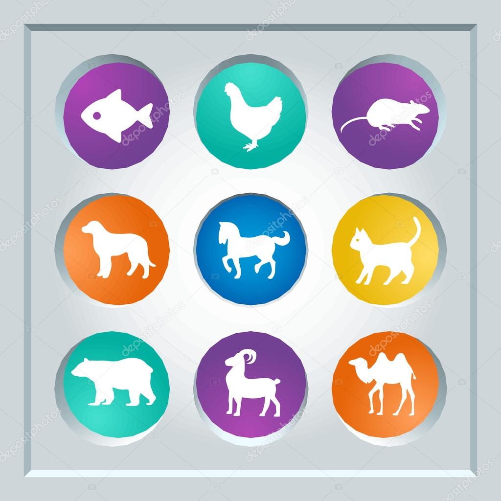 Abstract creative concept vector set of animals icons for web and mobile app isolated on background, art illustration template design, business infographic and social media, symbol