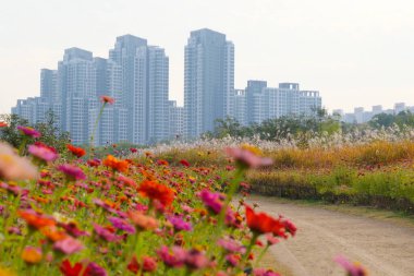 Dongjak Köprüsü 'nden manzara Hun Nehri. Kore.