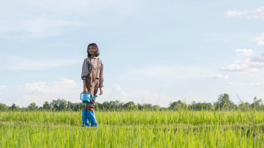Asyalı genç kız su dolu teneke kutuda duruyor. Pirinç tarlası, doğa arka planı..