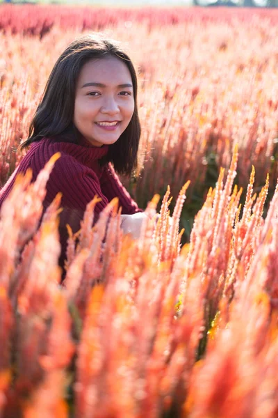 Asian Young Girl Beautiful Flower Farm Asian Girl — Stock Photo, Image