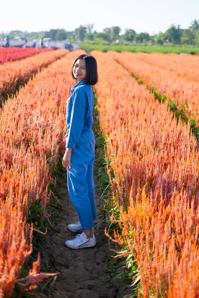 Asian Young Girl Beautiful Flower Farm Asian Girl — Stock Photo, Image