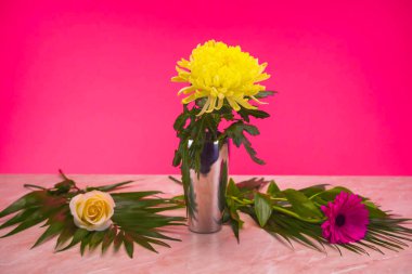 Pembe arka planda güzel bir gül