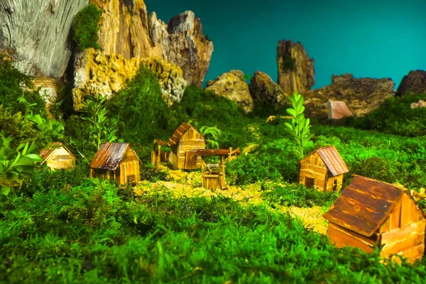 Ormandaki eski taş ev.