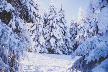 Karla kaplı bir dağın tepesinde giden bir adam