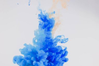 Bir çiçeğe yakın çekim