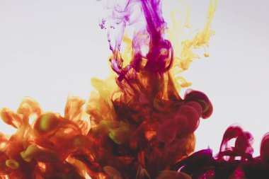 Bir çiçeğe yakın çekim