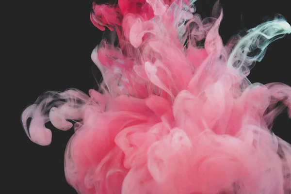 Bir çiçeğe yakın çekim