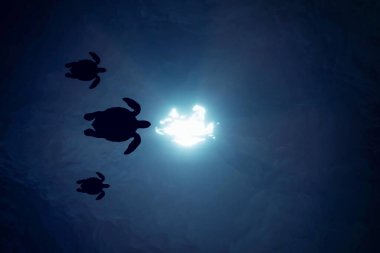 Karanlık bir odada bir işaret.