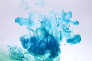 Bir grup doldurulmuş hayvan.