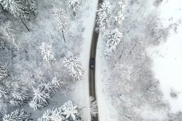 Karla kaplı bir ağacın yakın çekimi.