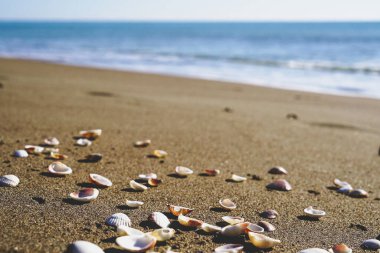 Bir grup insan sahilde oturuyor.