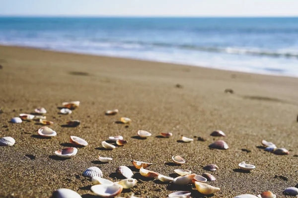 Bir grup insan sahilde oturuyor.