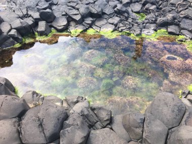 Büyük bir İrlanda kayasının önünde taş bir duvar.