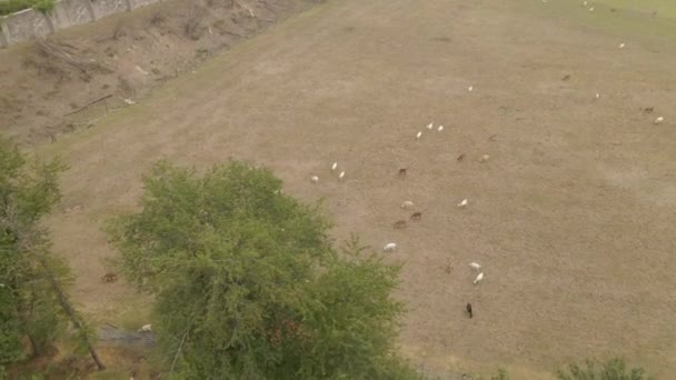 Un panneau sur le côté d'un champ de terre — Video