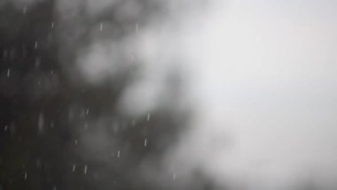 Doğanın arka planına karşı yağmur