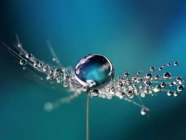 Bir kolyenin yakın çekimi.